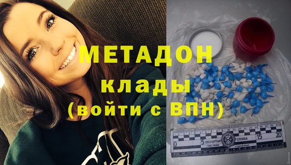 прущие грибы Зерноград