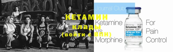 прущие грибы Зерноград
