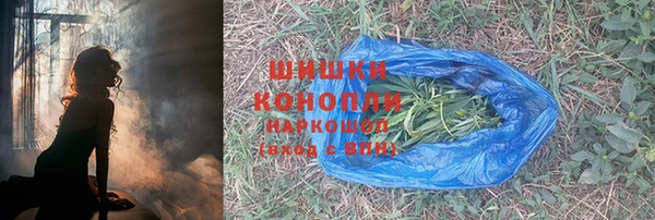 прущие грибы Зерноград