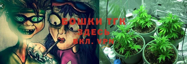 прущие грибы Зерноград