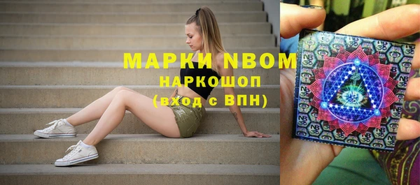 прущие грибы Зерноград